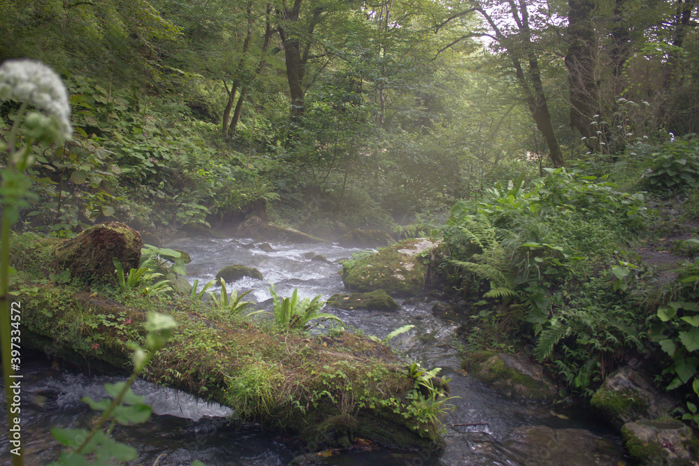 Beautiful nature, tourism, summer landscape, green grass and trees, river and mountains Beautiful nature, tourism, summer landscape, green grass and trees, river and mountains