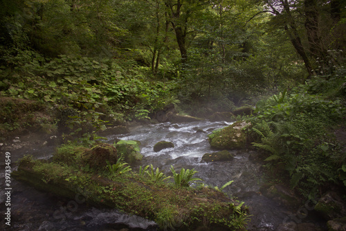 Beautiful nature, tourism, summer landscape, green grass and trees, river and mountains
