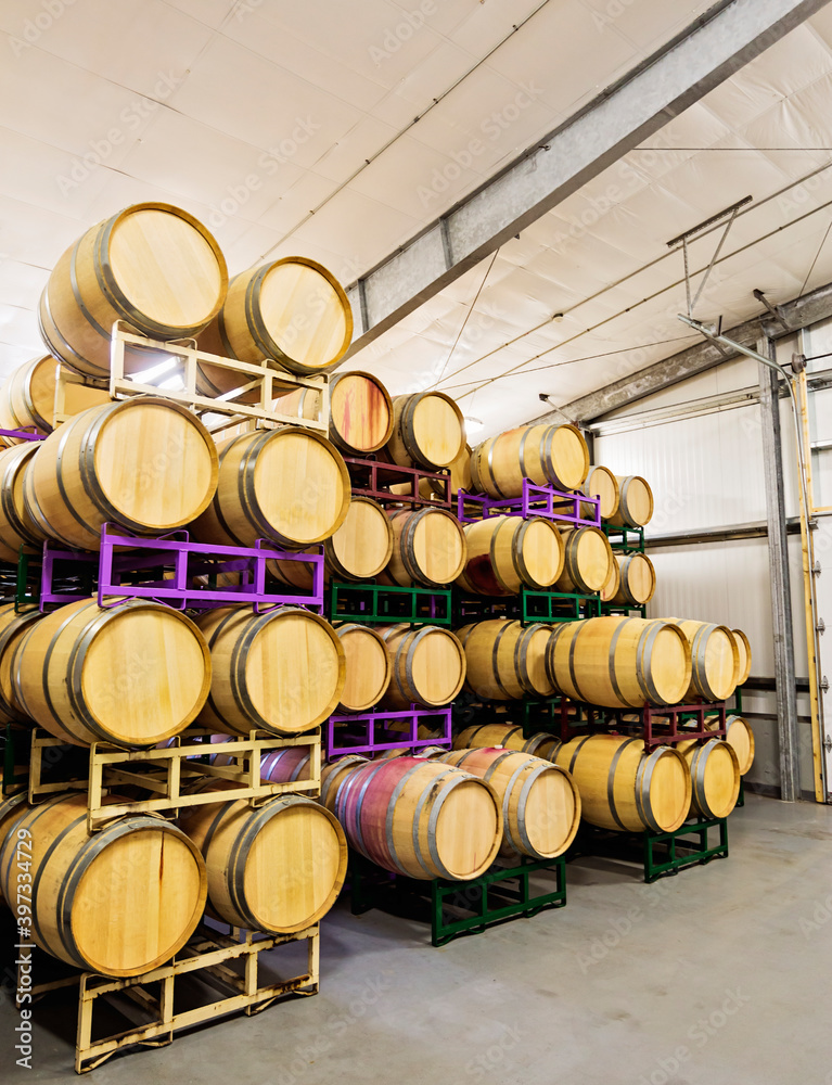 Wine barrels on racks in cellar Wine barrels on racks in cellar