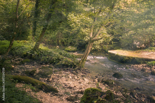 Beautiful nature, tourism, summer landscape, green grass and trees, river and mountains