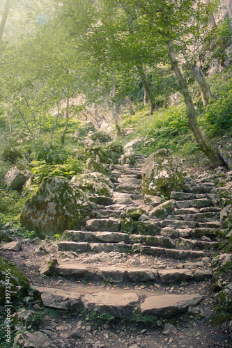 Beautiful nature, tourism, summer landscape, green grass and trees, old steps