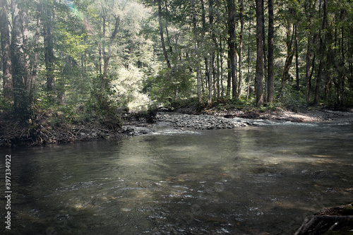 Beautiful nature, tourism, summer landscape, green grass and trees, river and mountains