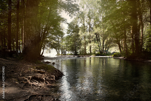 Beautiful nature, tourism, summer landscape, green grass and trees, river