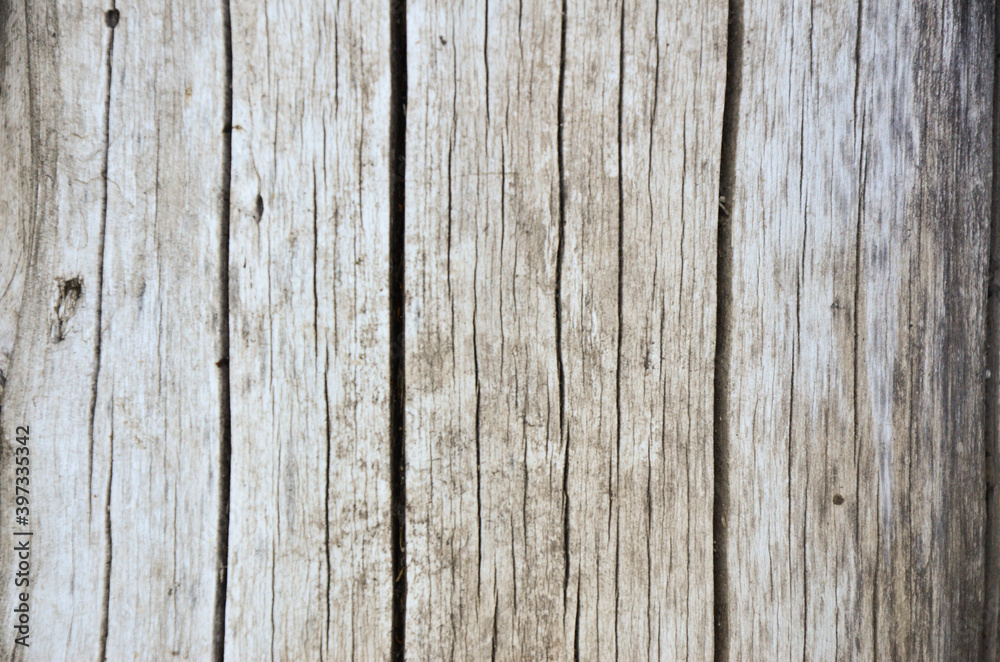 gray, dry, cracked natural wood texture and background