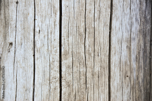 gray  dry  cracked natural wood texture and background