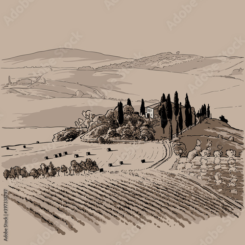 Italy landscape. Hills and cypresses Illustration