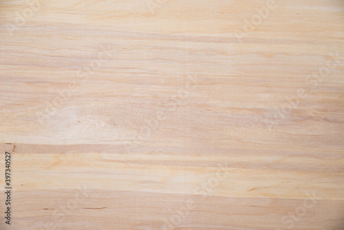 Close-up texture of natural birch veneer.