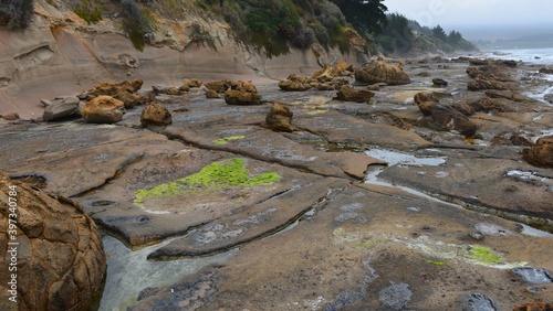 Rock formations on Shag Point beach