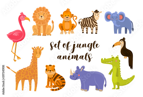 Vector illustration set of animal including flamingo  lion  monkey  zebra  elephant  toucan  crocodile  rhino  tiger  giraffe. Jungle animals isolated on white.