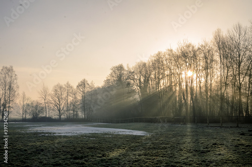 Sun rays falling on last snow on a meadow