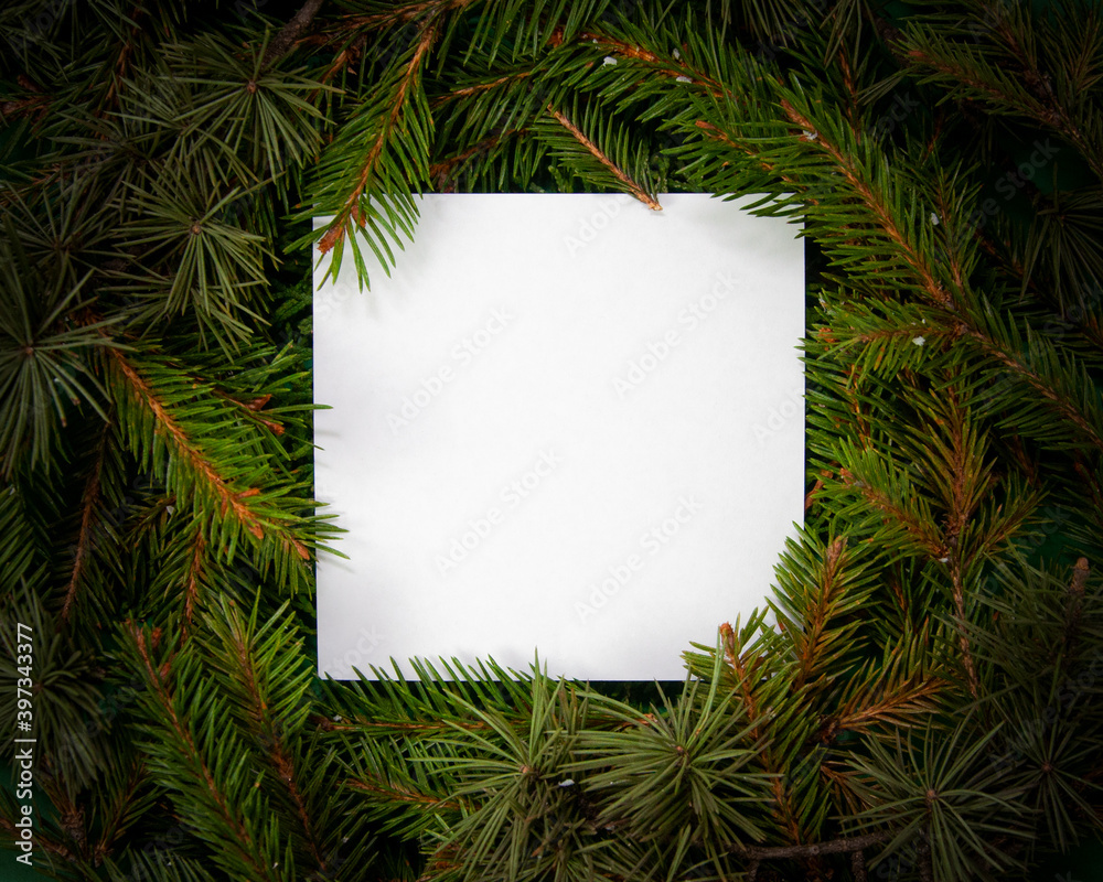 Creative layout made of fir tree branches with white square shape paper, Christmas and New Year's card concept, flat lay, top view Creative layout made of fir tree branches with white square shape paper, Christmas and New Year's card concept, flat lay, top view