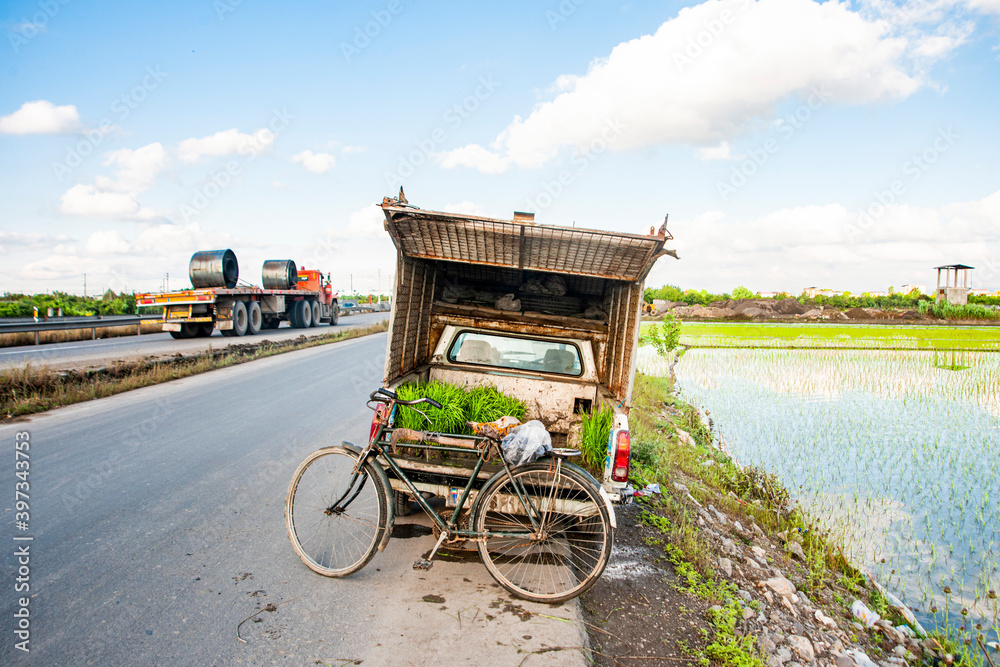 Fototapeta premium Mazandaran province, with more than 440,000 hectares of land, provides 44% of the Iran's rice needs.