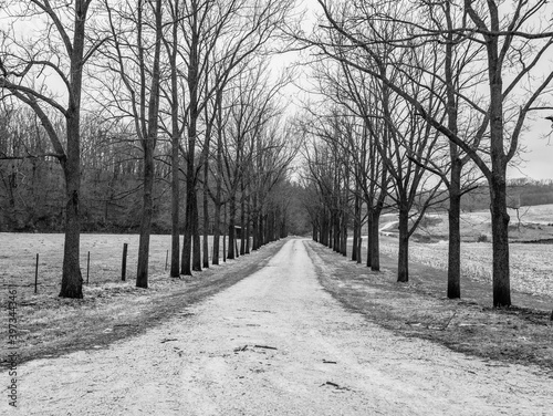 long empty dirt road in the country © BradleyWarren