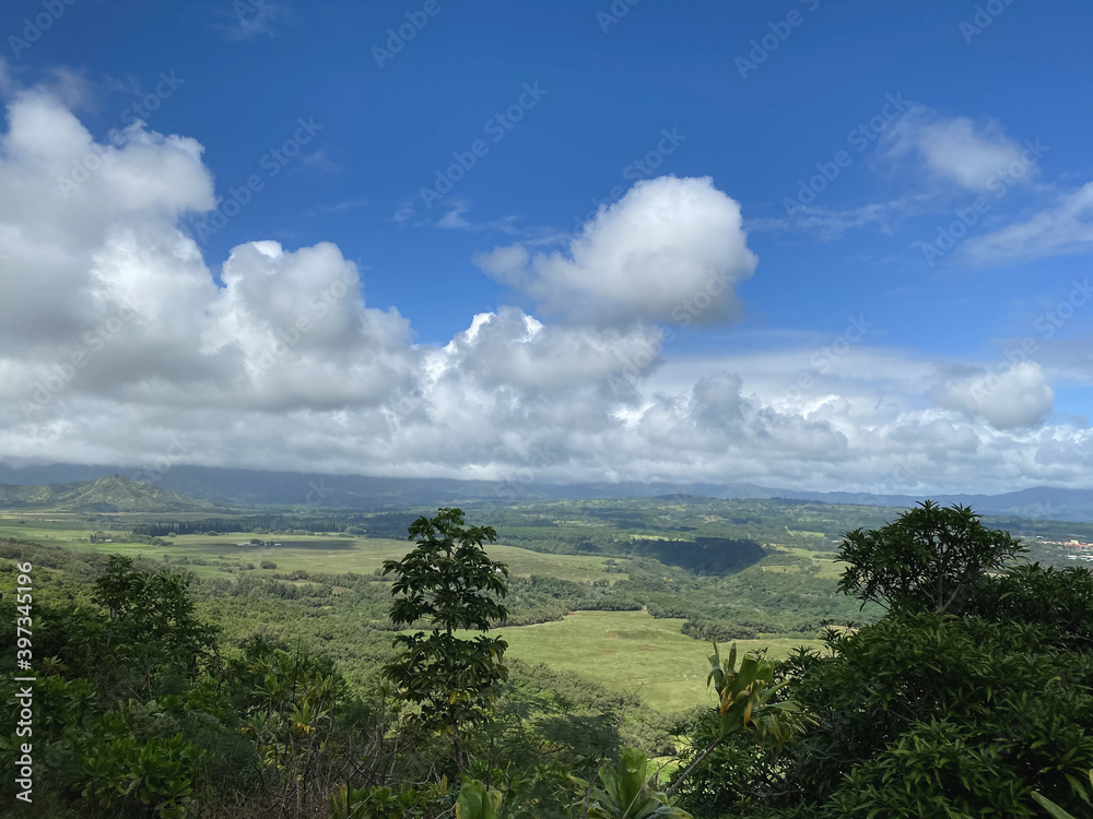 a landscape with trees and clouds a landscape with trees and clouds