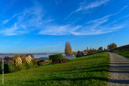 Insel Reichenau Bodensee photo