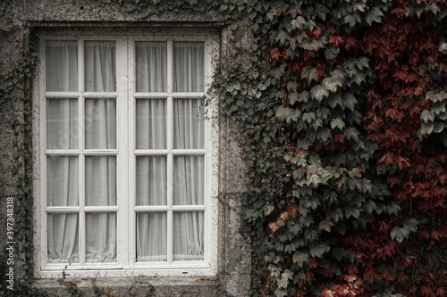 Ventana en un Pazo Gallego photo