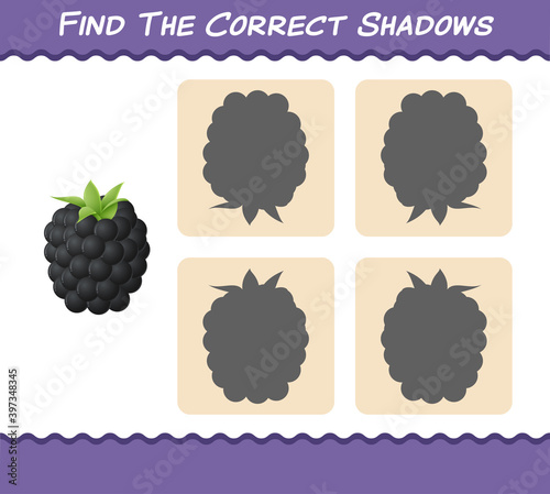 Find the correct shadows of cartoon blackberries. Searching and Matching game. Educational game for pre shool years kids and toddlers