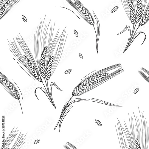 Detailed hand drawn black and white illustration seamless pattern of rye ear, leaf, grain, agriculture. sketch. Vector. Elements in graphic style label, card, sticker, menu, package.