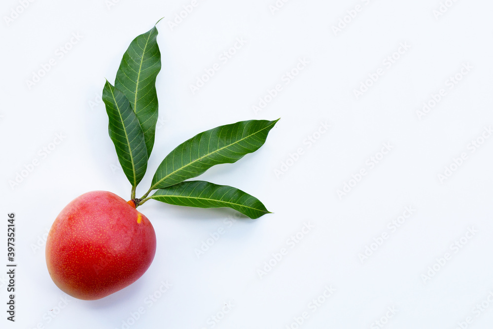 Obraz premium Tropical fruit, Mango on white background.