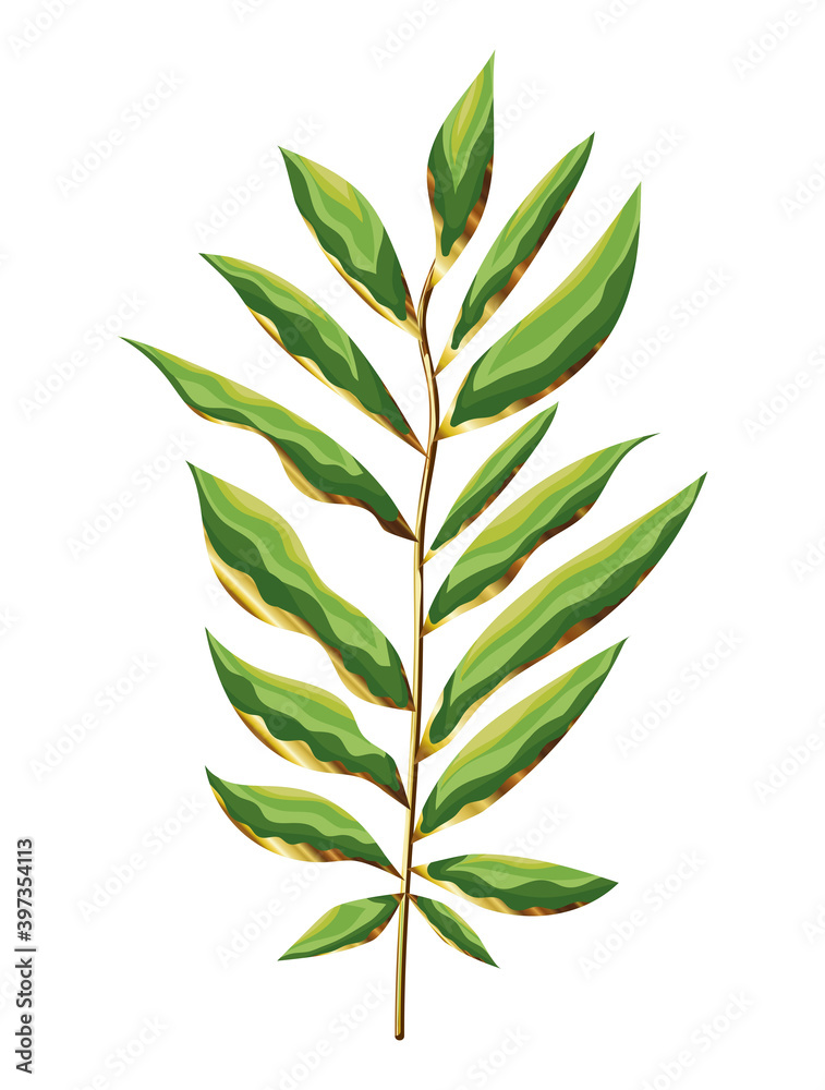 green leaves and big stem on white background green leaves and big stem on white background