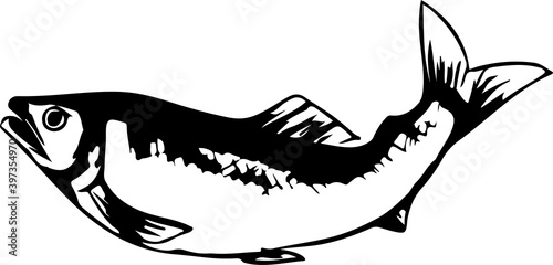 ジャンプする鮎の線画イラスト