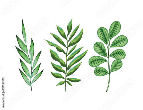set of three green leaves