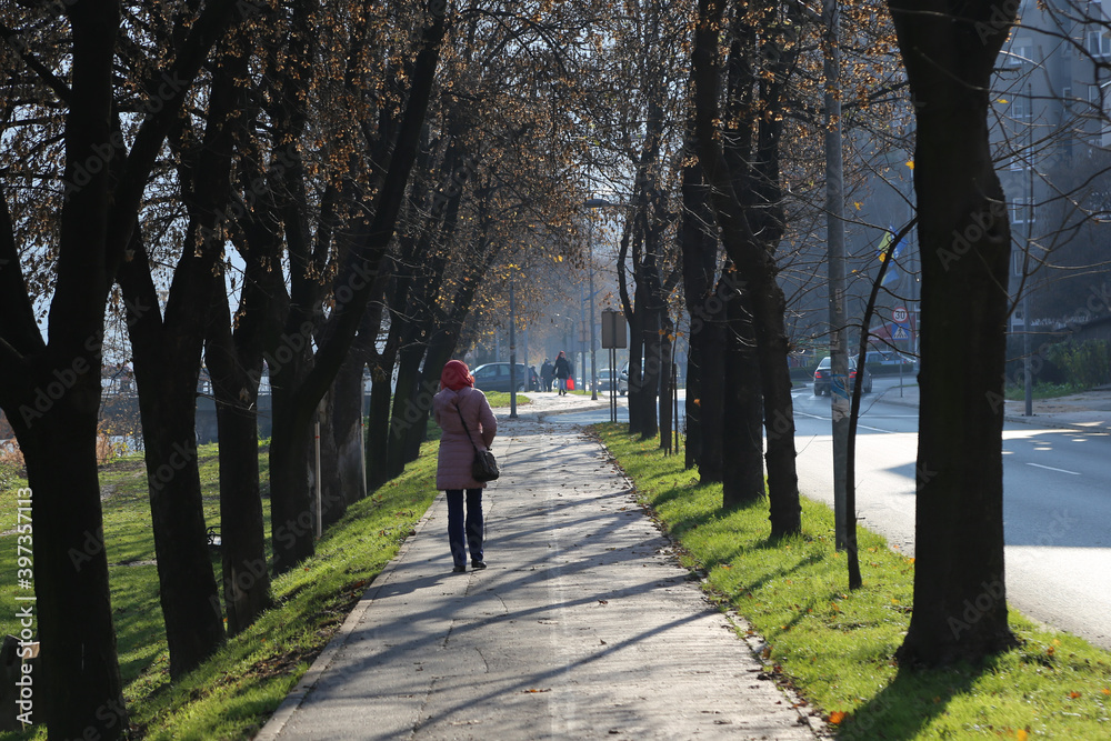 person walking in the park