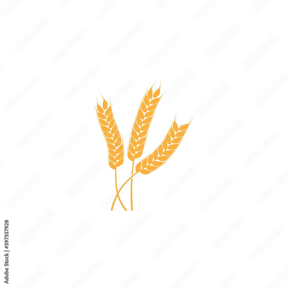 wheat logo wheat logo