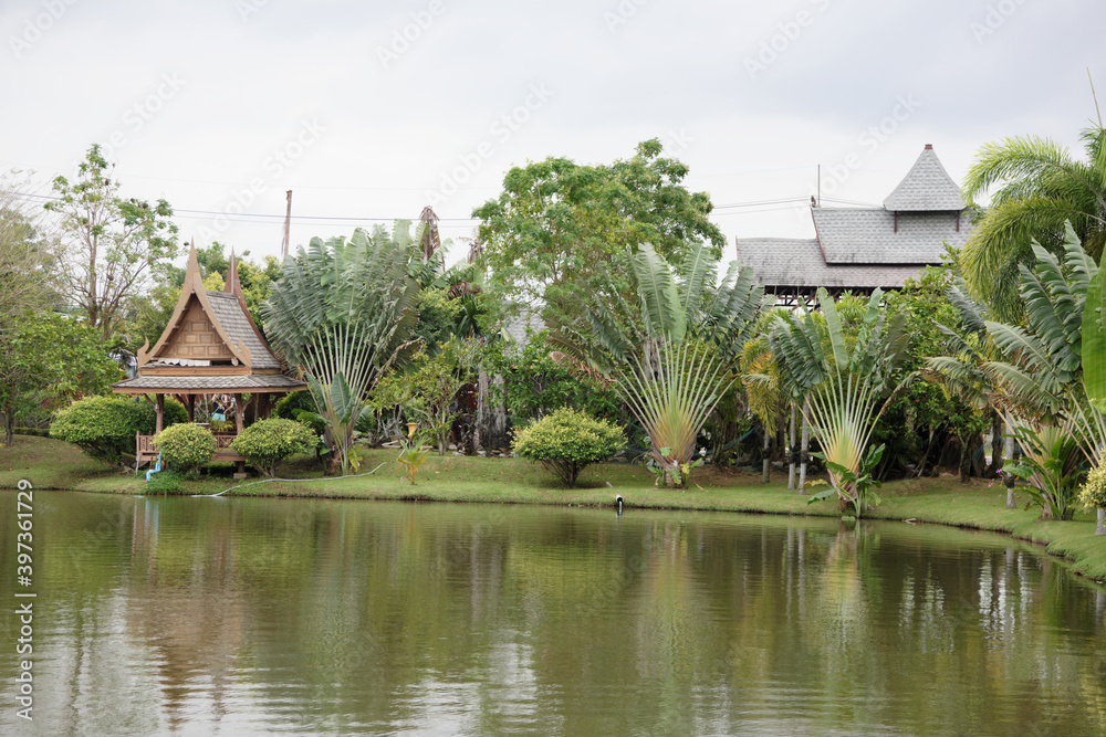  Lake in the park. Tourists drink tea and look at fish in the water