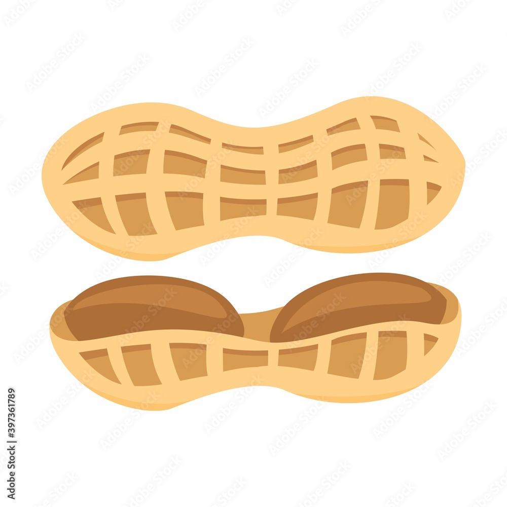 delicious peanut perfect for sauce and jam flavor vector illustration design delicious peanut perfect for sauce and jam flavor vector illustration design