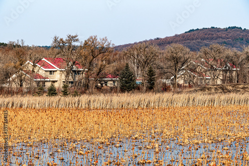 The landscape of Jingyuetan National Forest Park in Changchun  China in early winter
