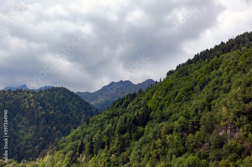 mountain covered with trees against cloudy sky  used as background or texture