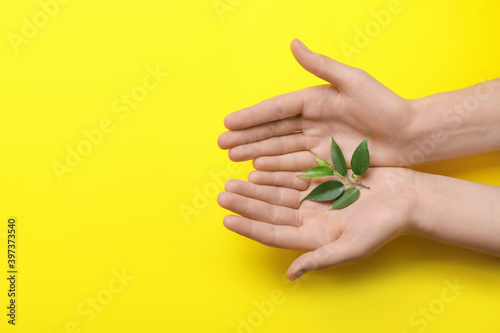 Human hands holding green p...