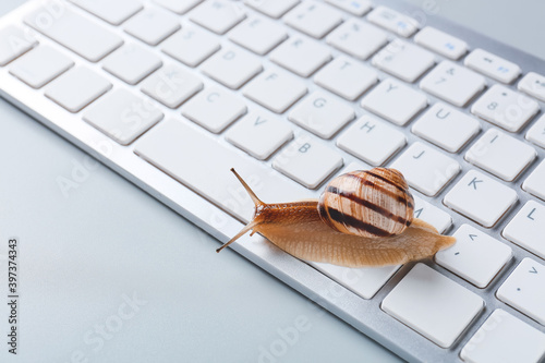 Canvastavla Snail crawling on computer keyboard