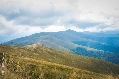 Green mountains, Summer landscape. Carpathian national park