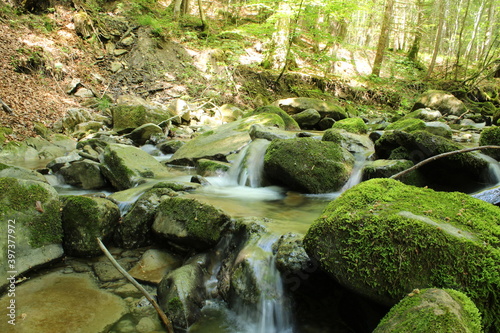 river in switzerland photo