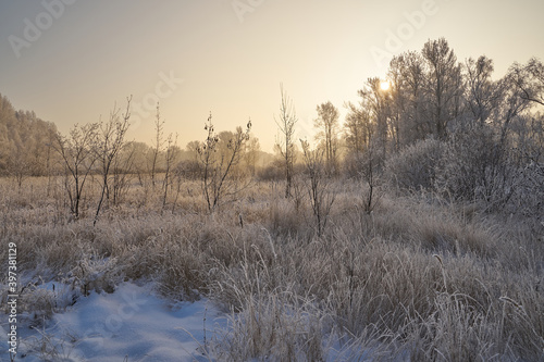 Breath of winter, first ice on the lake, dawn on a frosty morning with frost on the grass, close-up of frost, patterns on the first ice.