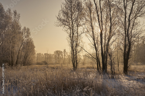 Breath of winter, first ice on the lake, dawn on a frosty morning with frost on the grass, close-up of frost, patterns on the first ice.