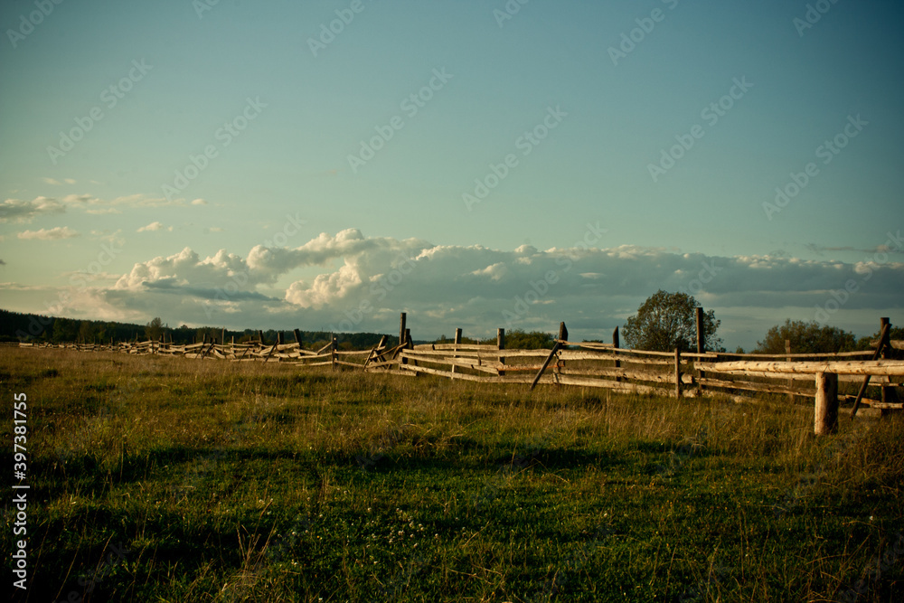 custom made wallpaper toronto digitalWonderful rural landscape. Summer village life concept. Nature.