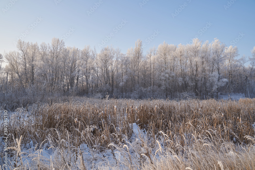 Breath of winter, first ice on the lake, dawn on a frosty morning with frost on the grass, close-up of frost, patterns on the first ice. Breath of winter, first ice on the lake, dawn on a frosty morning with frost on the grass, close-up of frost, patterns on the first ice.