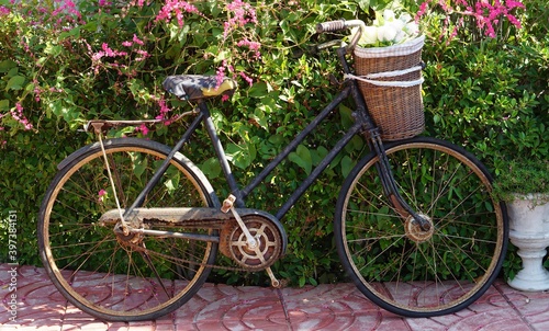 bicycle and flowers