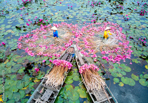 AN GIANG, VIETNAM - NOVEMBER 29, 2020: Vietnamese women displaying water lily flowers on the river