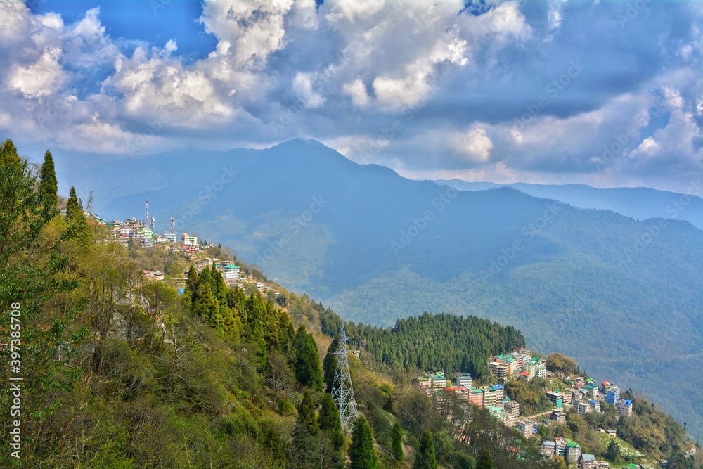Fototapeta premium landscape in summer
