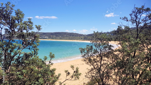 Putty Beach Near the Bouddi Coastal Walk New South Wales Australia. Viewed Through Trees