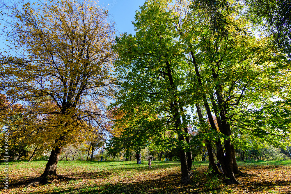 Autumn landscape with large trees with dried green, yellow, orange and brown leaves in Circus Park (Parcul Circului) in Bucharest, Romania in a sunny day.