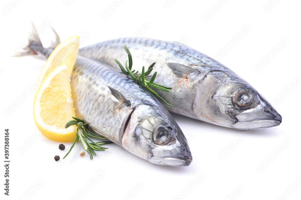 Fish mackerel on a white background