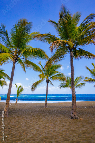 Palm trees of Etang-Sale beach on Reunion Island with its characteristic black sand and the waves of the Indian Ocean