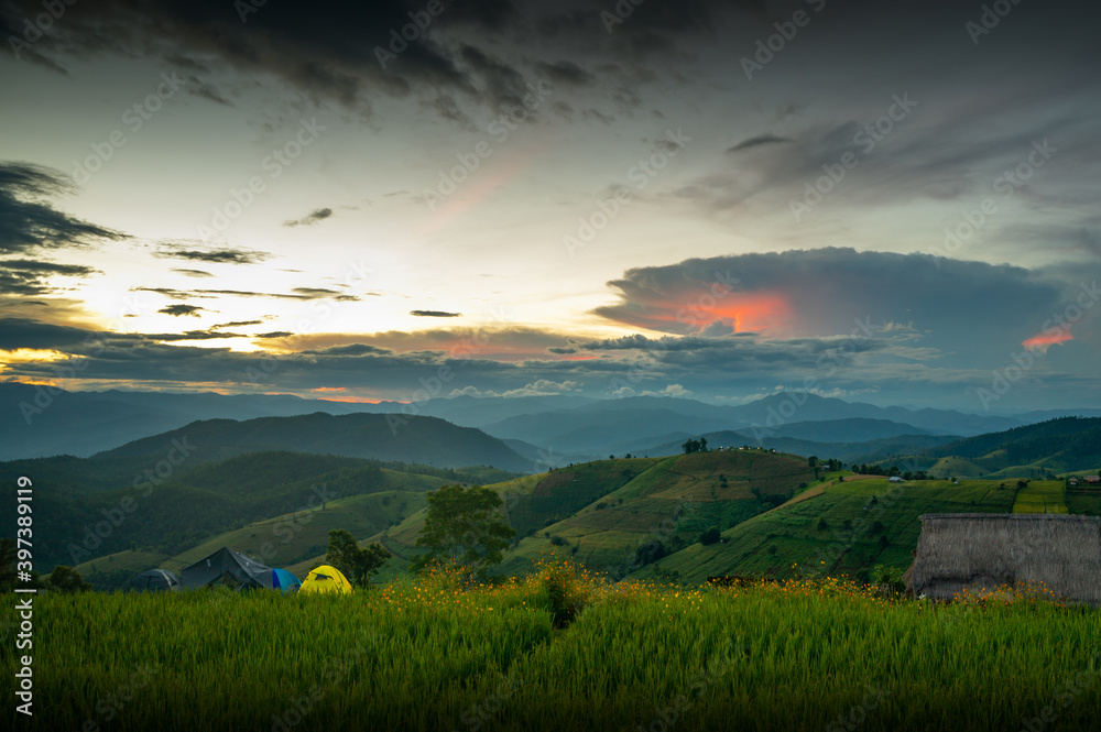 CAmping in the Rice fields at Thailand