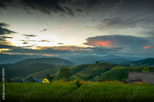 CAmping in the Rice fields at Thailand