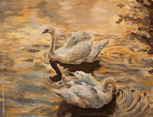 Obraz na plátně Two white swans on autumn lake